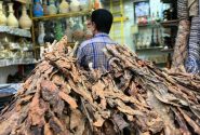 فیلم| گزارش فارس از بازار روز بندرعباس