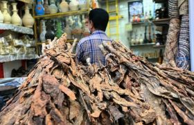 فیلم| گزارش فارس از بازار روز بندرعباس